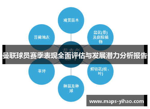 曼联球员赛季表现全面评估与发展潜力分析报告